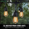 Đèn led trang trí quán cà phê nhà hàng đẹp 10m 20 bóng LTT16