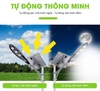 Đèn năng lượng mặt trời chiếc lá CL150 lắp dự án công trình