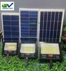 Đèn năng lượng mặt trời sân vườn LNZ.10300 Green Việt