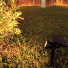 Đèn Solar Light SVGV-12 Trang Trí Sân Vườn