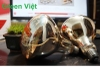 Bóng Đèn Sưởi BDS01 275W