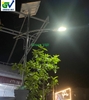 Đèn Đường năng lượng mặt trời ZL-1000W Green Việt