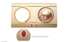 Đèn sưởi nhà tắm SHD3812