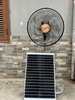 Quạt cây năng lượng mặt trời QCG-26 Tích Điện