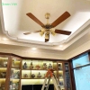Quạt trần đèn lắp phòng khách QTDG010 Nội Thất Cao Cấp