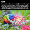Epson EH-TW6250