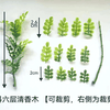 coll_14_title