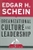 Organizational Culture and Leadership by Edgar H. Schein - Bookworm Hanoi