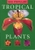 500 Popular Tropical Plants by Periplus - Bookworm Hanoi