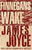 Finnegans Wake by James Joyce - Bookworm Hanoi