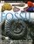 DK Eyewitness Books: Fossil by Paul Taylor - Bookworm Hanoi