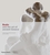Rodin And The Art Of Ancient Greece by Celeste Farge - Bookworm Hanoi
