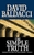 The Simple Truth by David Baldacci - Bookworm Hanoi