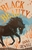 Black Beauty by Anna Sewell - Bookworm Hanoi