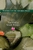 The God Of Small Things by Arundhati Roy - Bookworm Hanoi