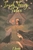 Irish Fairy Tales by Joseph Jacobs - Bookworm Hanoi