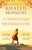 A Thousand Splendid Suns by Khaled Hosseini - Bookworm Hanoi