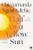 Half Of A Yellow Sun by Chimamanda Ngozi Adichie - Bookworm Hanoi