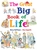 The Great Big Book of Life by Mary Hoffman - Bookworm Hanoi
