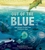 Out of the Blue by Elizabeth Shreeve - Bookworm Hanoi