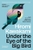 Under The Eye Of The Big Bird by Hiromi Kawakami - Bookworm Hanoi