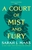 A Court Of Mist And Fury by Sarah J. Maas - Bookworm Hanoi