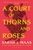 A Court Of Thorns And Roses by Sarah J. Maas - Bookworm Hanoi