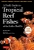 A Field Guide To Tropical Reef Fishes Of The Indo Pacific by Gerald R Allen - Bookworm Hanoi