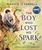 The Boy Who Lost His Spark by Maggie O'Farrell - Bookworm Hanoi