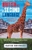 British as a Second Language by David Bennun - Bookworm Hanoi