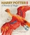 Harry Potter A History Of Magic by J K Rowling - Bookworm Hanoi