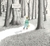 Into the Forest by Anthony Browne - Bookworm Hanoi