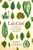 Lab Girl by Hope Jahren - Bookworm Hanoi