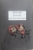 Madame Bovary by Gustave Flaubert - Bookworm Hanoi