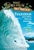 Magic Tree house Fact Tracker Tsunamis And Other Natural Disasters by Mary Osborne - Bookworm Hanoi