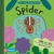 My Little Green World Spider by Campbell Books - Bookworm Hanoi