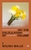On The Calculation Of Volume 2 by Solvej Balle - Bookworm Hanoi