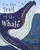 On the Trail of the Whale by Camilla de la Bedoyere - Bookworm Hanoi