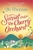 Sunset over the cherry orchard by Jo Thomas - Bookworm Hanoi