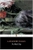 The Black Tulip by Alexandre Dumas - Bookworm Hanoi