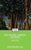 The Divine Comedy Inferno by Dante  - Bookworm Hanoi