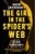 The Girl in the Spider's Web by David Lagercrantz - Bookworm Hanoi