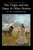 The Virgin and the Gipsy & Other Stories by D H Lawrence - Bookworm Hanoi