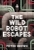 The Wild Robot Escapes by Peter Brown - Bookworm Hanoi