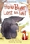Usboren First Reading How Bear Lost His Tail by Usborne - Bookworm Hanoi