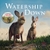 Watership Down by Frank Cottrell Boyce - Bookworm Hanoi