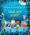 What Are Stars? (Lift-The-Flap Very First Questions And Answers) - Bookworm Hanoi