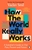 How the World Really Works by Vaclav Smil - Bookworm Hanoi
