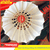 Quả Cầu lông LiNing 77 CHAMPION PLUS || Quả cầu tiêu chuẩn thi đấu Quốc Tế