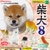 Đồ chơi BỘ SƯU TẬP BỐC TRỨNG MÔ HÌNH NHÂN VẬT SHIBA DOG 8 4905040618641 AUG19